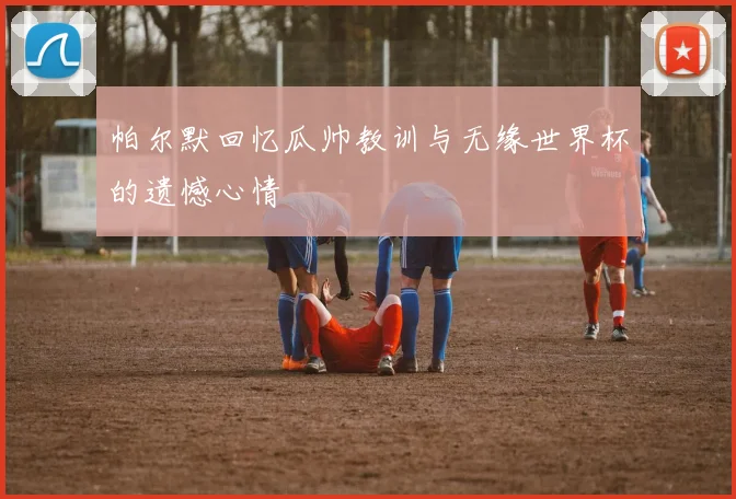 帕尔默回忆瓜帅教训与无缘世界杯的遗憾心情